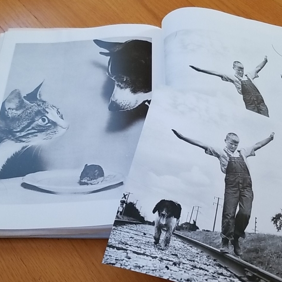 LIFE The Classic Collection Book incl. 25 Prints - Picture 14 of 16